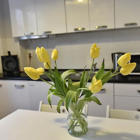 Apartament Apartament Haffnera Sopot